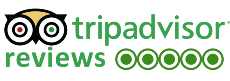 TripAdvisor Logo